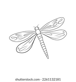 dragonfly icon vector illustration symbol design