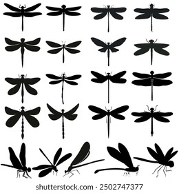 Dragonfly icon vector set. Insect illustration sign collection. Butterfly symbol or logo.