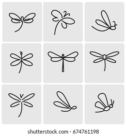 Dragonfly icons
