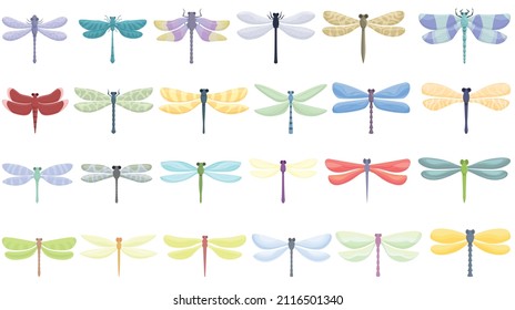 Dragonfly icons set cartoon vector. Nature animal. Fly bug