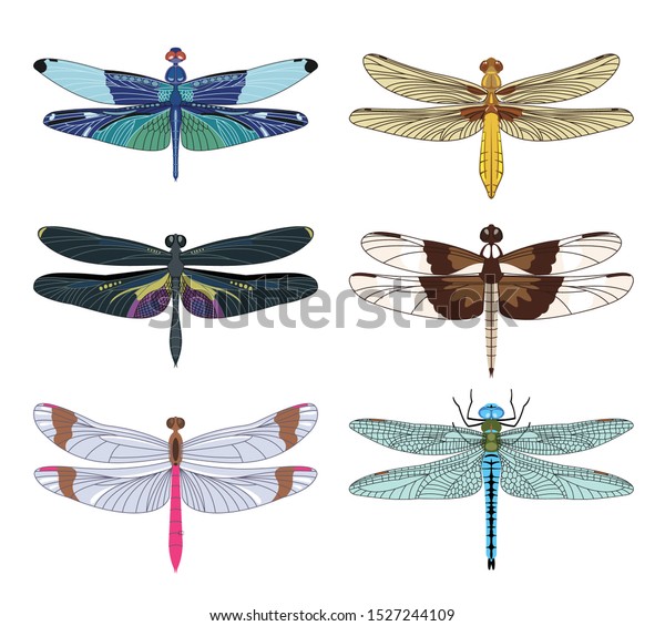 1,340 Dragonfly Clipart Stock Vectors, Images & Vector Art | Shutterstock