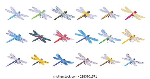 Dragonfly Icons Set Isometric Vector. Nature Animal. Bug Fly