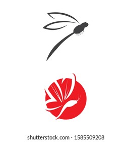 Dragonfly illustration icon design template vector