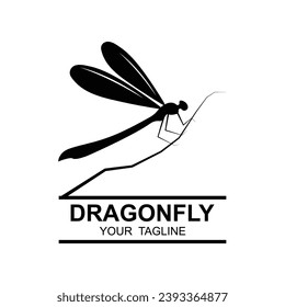 Design-Vorlage für Drachengrafiken, Vektorgrafik. Logo für Natur, Abzeichen und Identität