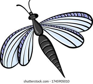 Dragonfly , illustration, vector on white background