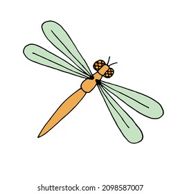Dragonfly. Insect. Flight. Vector. Doodle. Sketch. Drawn by hand.
