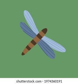 A dragonfly is an insect with four blue wings. Vector image. 