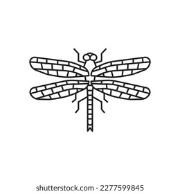 Dragonfly insect icon. High quality black vector illustration.