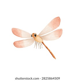 Dragonfly insect with large black eyes