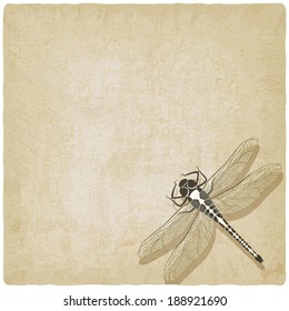 dragonfly insect old background - vector illustration. eps 10