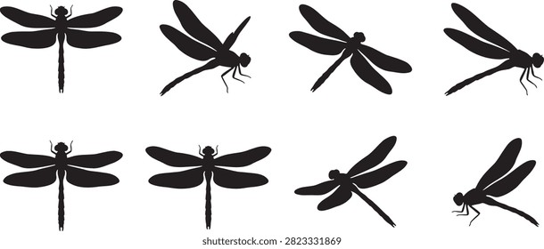 Dragonfly insect set showing wing details in top and side view angles