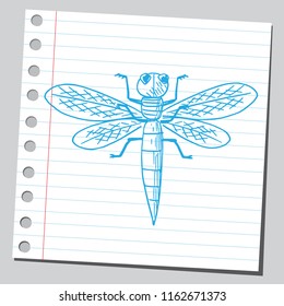Dragonfly insect ( sketch style drawing )