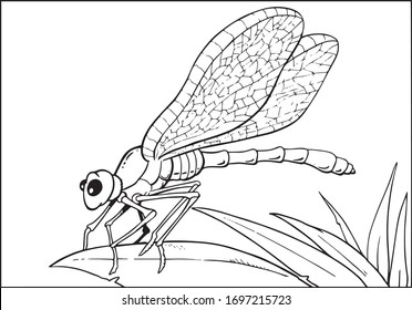 Dragonfly insect sketch, vector design