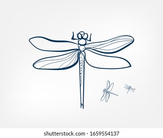 dragonfly insect vector art line isolated doodle illustration