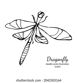 línea de arte vectorial de insecto de libélula ilustración de doodle aislado