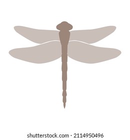 dragonfly insect, vector graphic artwork