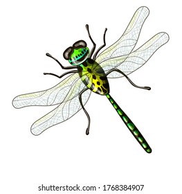 Dragonfly insect in yellow, green and blue colors. Drawing isolated on a white background. Stock vector illustration.