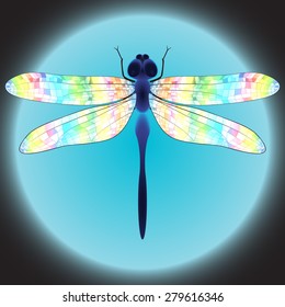 Dragonfly with iridescent wings represented on the shining blue background.