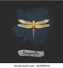 Dragonfly isolated colorful nature background with watercolor splash