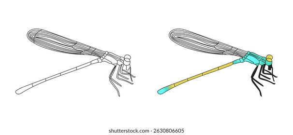 Dragonfly Isolated Illustration Set with Colorful and Outline Insect