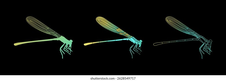 Dragonfly Ilustração Isolada Conjunto em Fundo Preto com Insetos Turquesa Amarelo