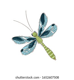 Dragonfly isolated on the white background. Vector illustration