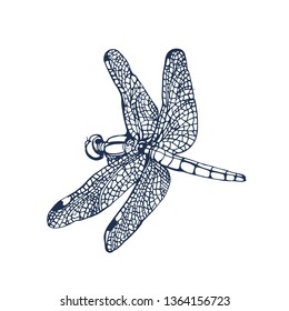 dragonfly isolated on white background,vector illustration hand drawing