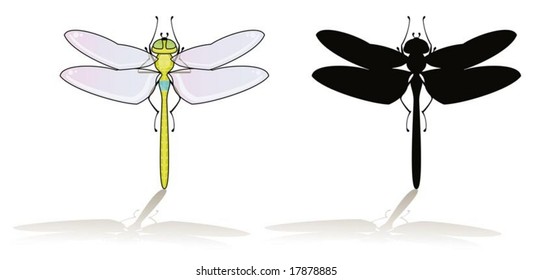 Dragonfly isolated on white with his silhouette