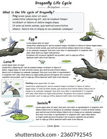 Ciclo de vida de la libélula con plantilla de explicación. para contenido educativo, enseñanza, presentación. con un diseño sencillo.