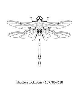 Dragonfly One Continuous Line Drawing Vector Stock Vector (Royalty Free ...