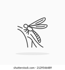 Icono de la línea de la libélula. Actrazo editable y píxel perfecto. Se puede usar para productos digitales, presentación, diseño de impresión y más.