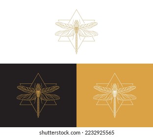 formato de eps de diseño del logotipo de la libra