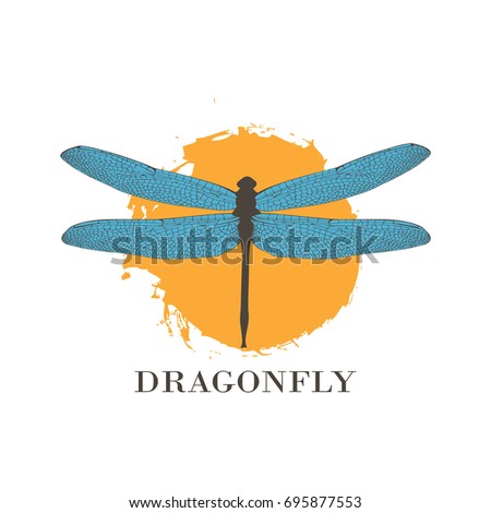 dragonfly logo design template colorful dragonfly stock vector dragonfly template