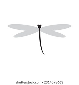 
dragonfly logo design vector illustration