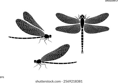 Dragonfly logo. Isolated dragonfly on white background