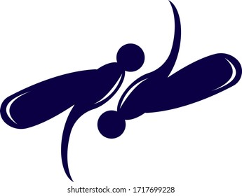 Dragonfly logo template vector illustration
