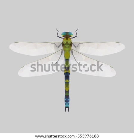 Dragonfly, low poly illustration