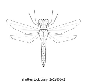 Dragonfly. Low polygon linear vector illustration