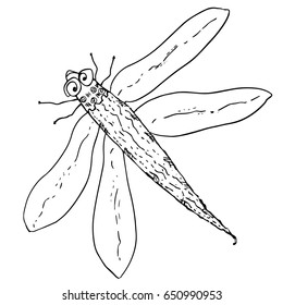 Dragonfly, odonata. Hand drawn sketch. Character cartoon insects. Nature symbol. Fauna. Stylish funny animal for design, prints, posters, fabric, patterns, coloring pages book, interior, kids room.