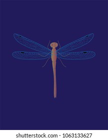Dragonfly on the blue background vector illustration 