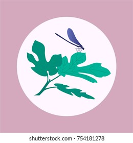 dragonfly on a branch 