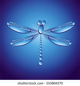 Dragon-fly on a dark blue background
