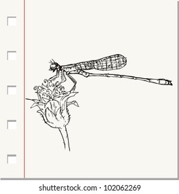 dragonfly on flower doodle