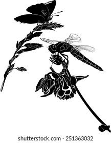 dragonfly on flower isolated on white background