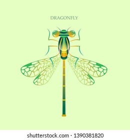 Dragonfly on a light background - top view. Vector design.