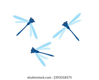 Dragonfly on a white background.