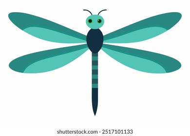 A Dragonfly on a white background