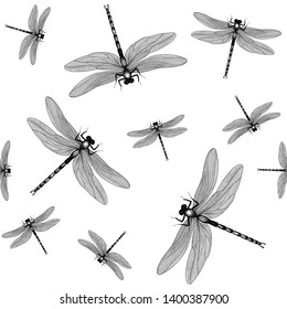 dragonfly on the white background. vector pattern