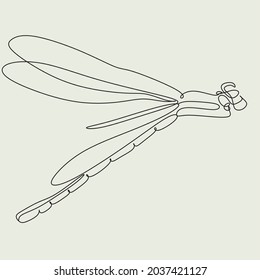 Dragonfly one line art. Insect minimal line drawing
