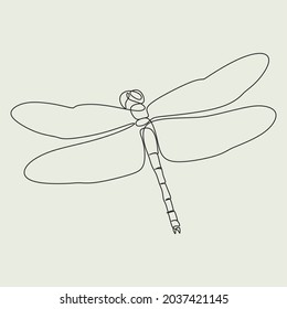 Dragonfly one line art. Insect minimal line drawing
